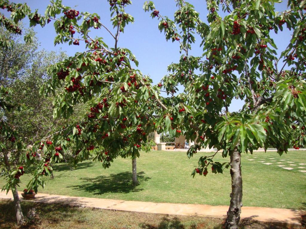 كاستيلانا غروتي Fontana Vecchia B&B المظهر الخارجي الصورة